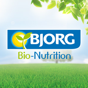 Bjorg