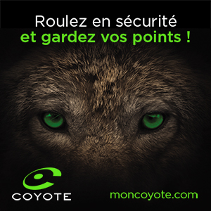 Coyote
