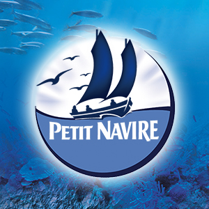 Petit Navire