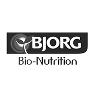 Bjorg