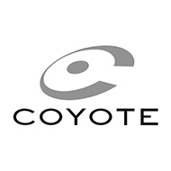 Coyote