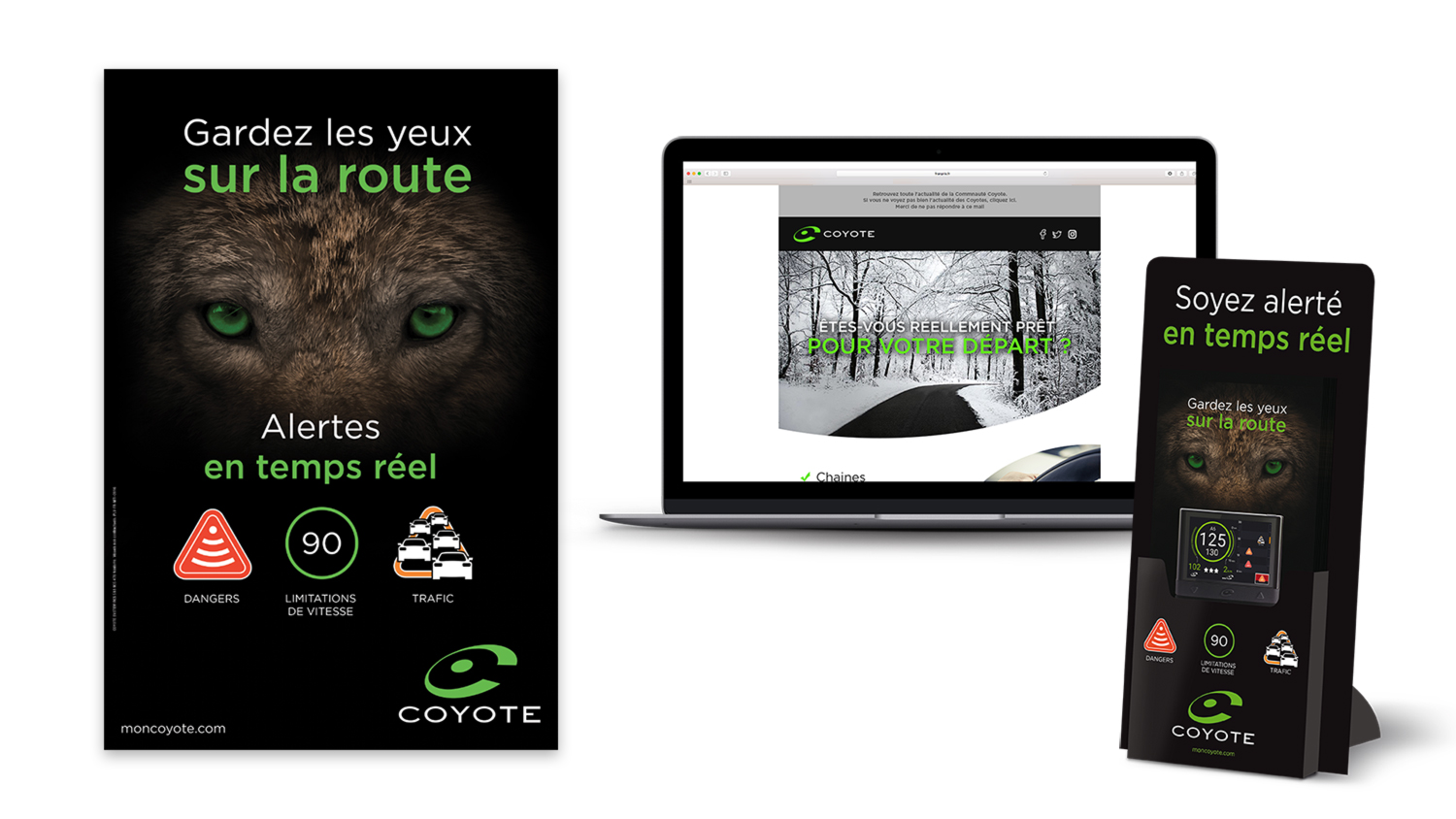 Coyote